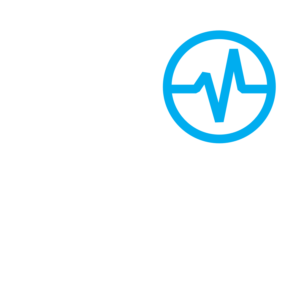 XENTRY Diagnosis Lite